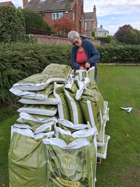 bags of compost