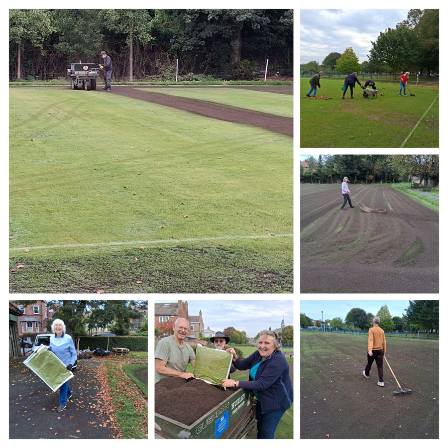 YCC top dressing collage